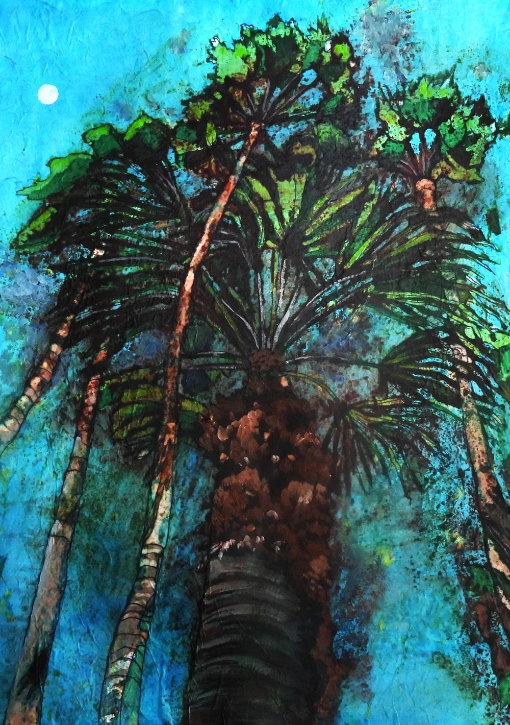 Scottsdale Palms
